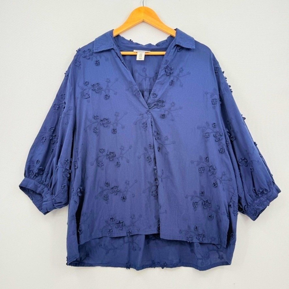 Laura Ashley Embroidered Blouse Womens 1X Blue Floral Oversized Cottagecore Boho
